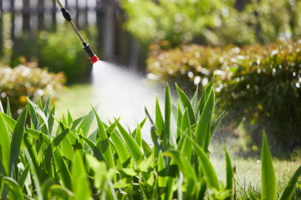 24/7 Emergency Mosquito Control experts in Port Ludlow, WA