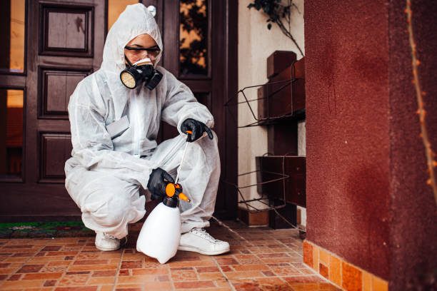 Reliable Mosquito Control contractor in Port Ludlow, WA by Nex Pest Control