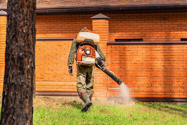 Trusted Cockroach Control service in Port Ludlow, WA - Nex Pest Control